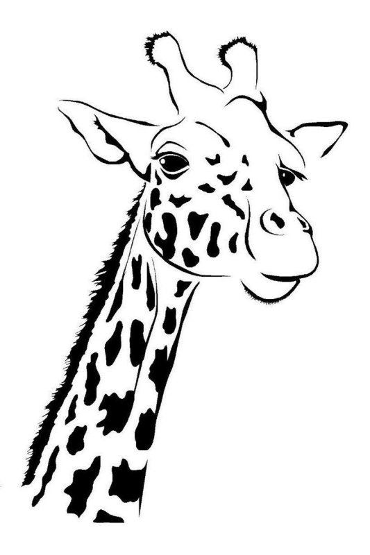 Жираф шаблон для рисования