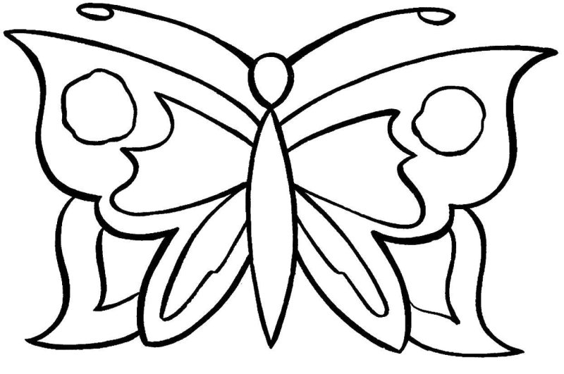 Раскраска "бабочки"