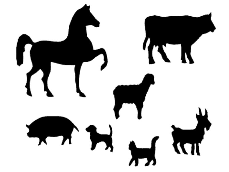 Силуэты животных для детей