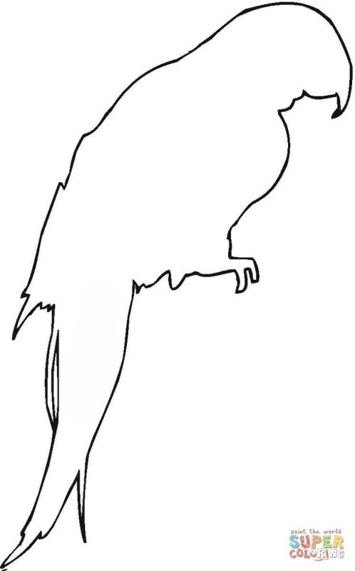 Силуэты животных для раскрашивания