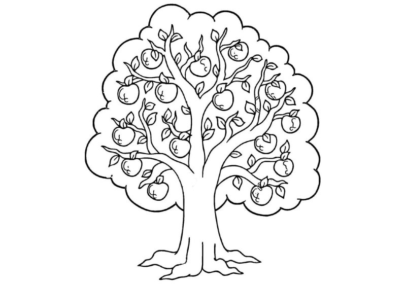 Яблоня раскраска