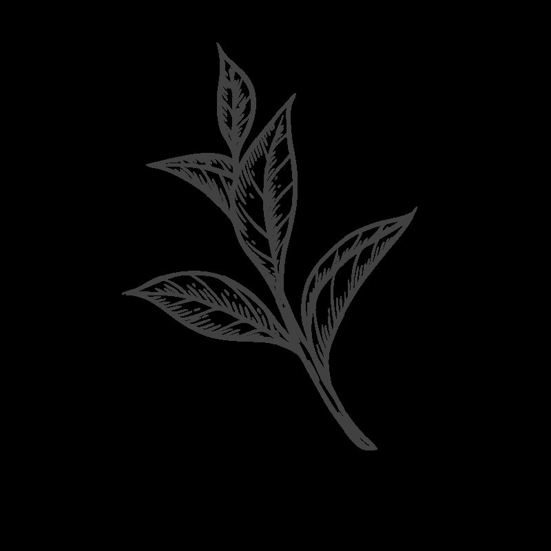 Чайный лист