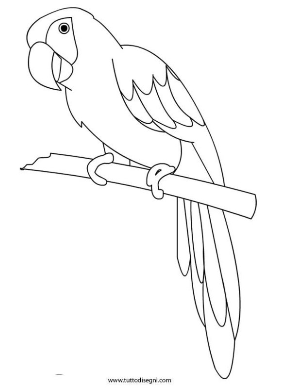 Трафарет попугая для рисования