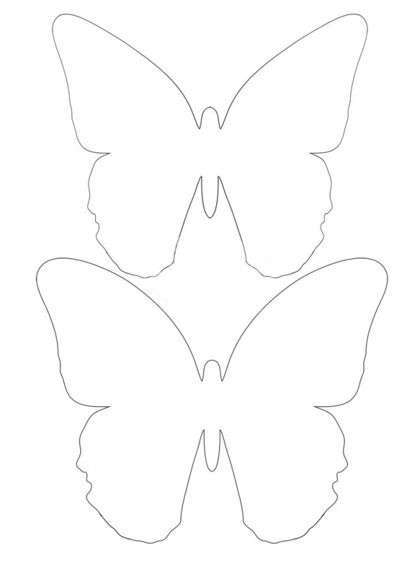 Трафареты бабочки
