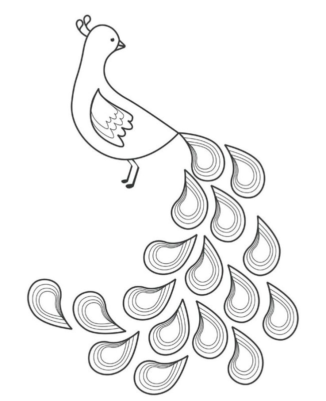 Сказочная птица раскраска