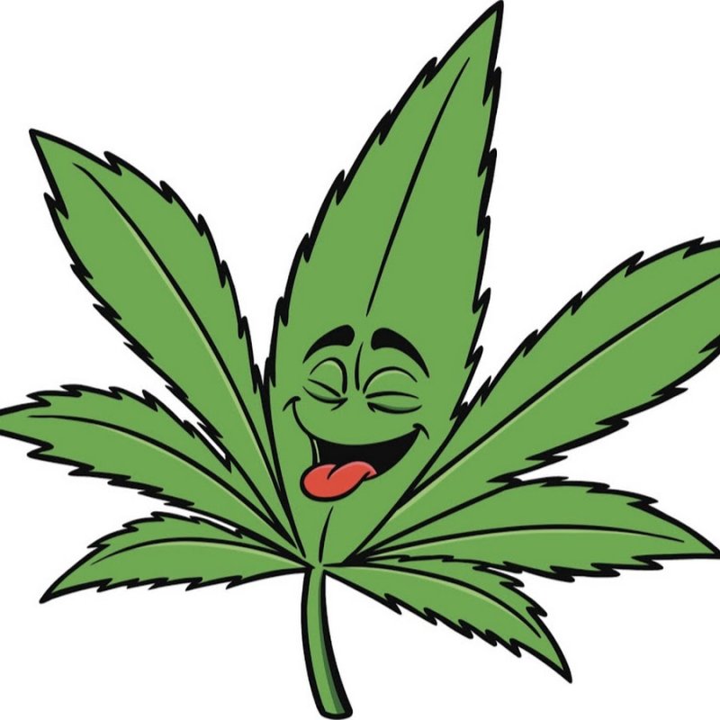 Канабис три листа