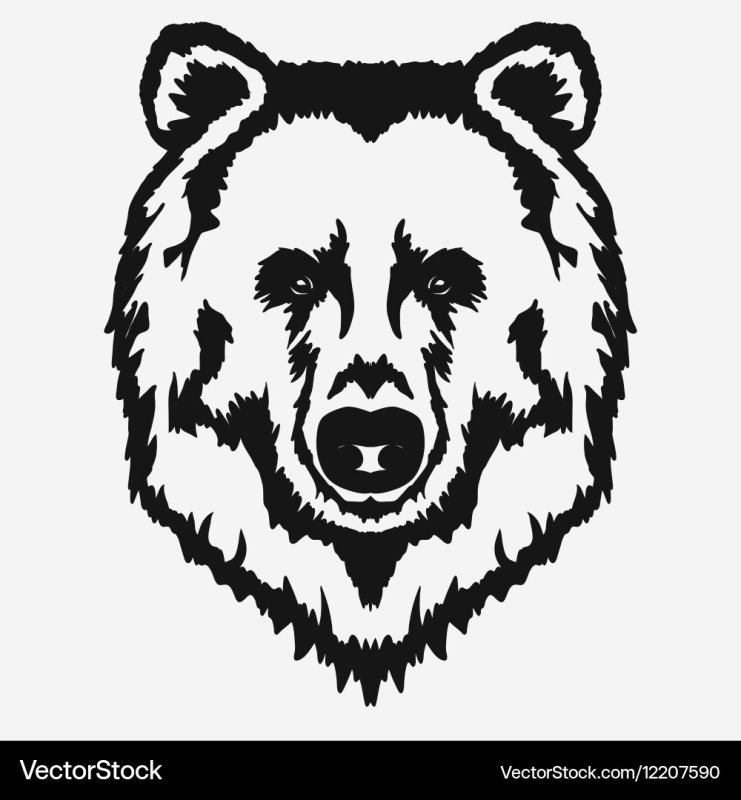 Медведь Татуировка эскиз