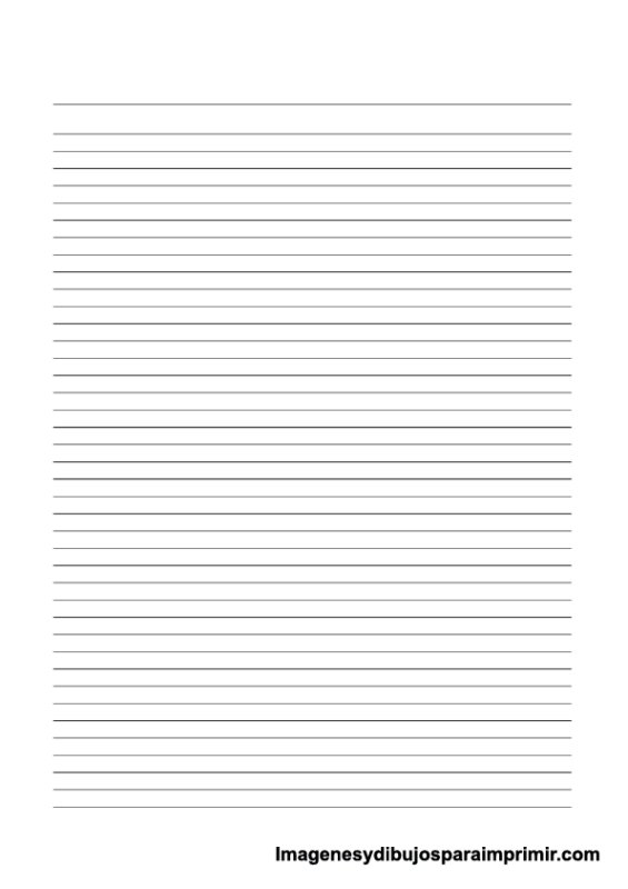 Разлиновка Зебра а4