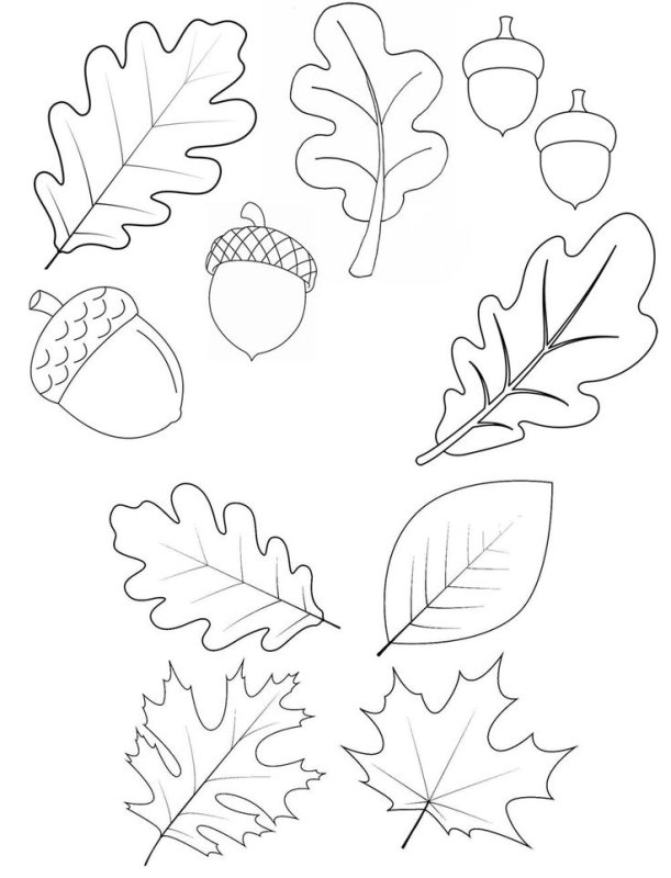 Листик шаблон