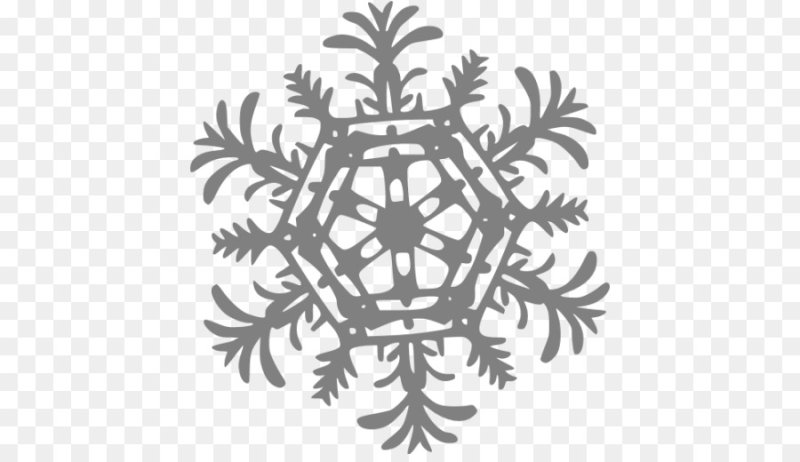 China New year pattern