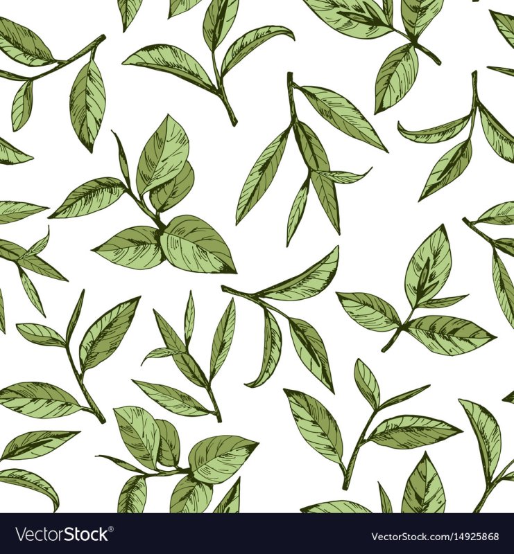 Паттерн листочки