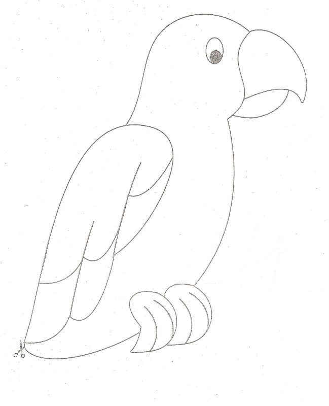 Попугай трафарет для аппликации