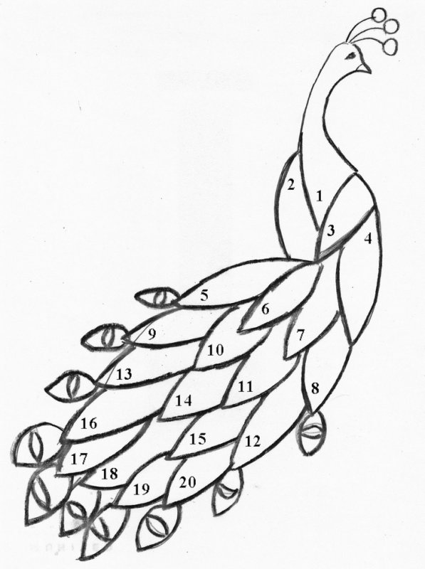 Жар птица туловище аппликация