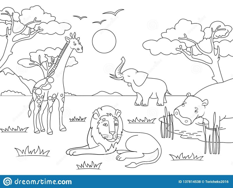 Раскраска природа Африки для детей