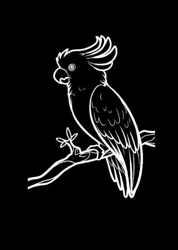 Трафарет попугай для вырезания