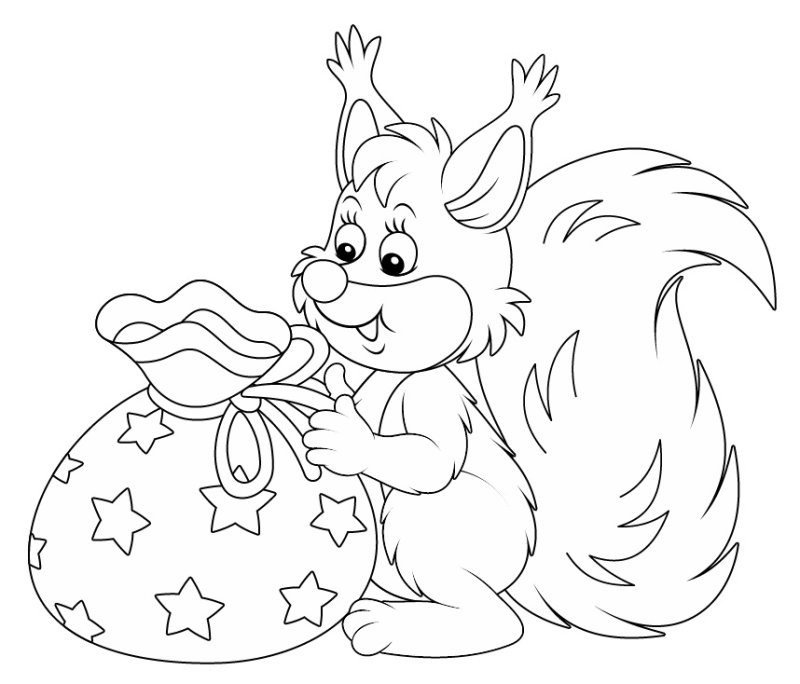 Раскраска Белочка