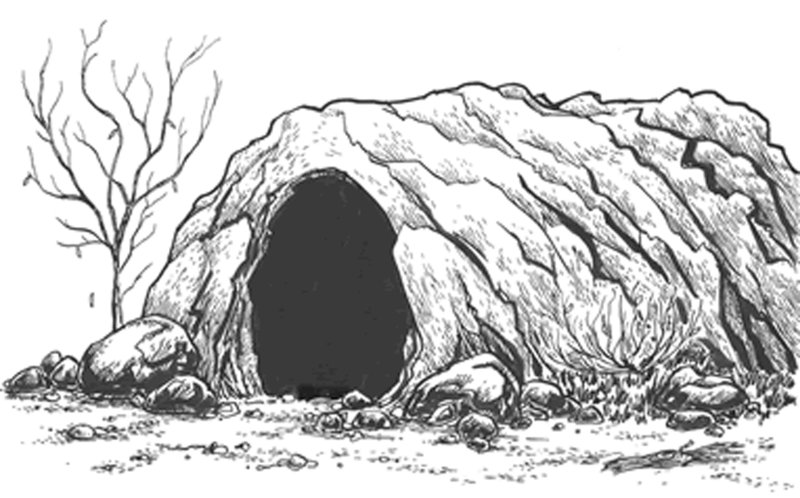 Лисья Нора раскраска