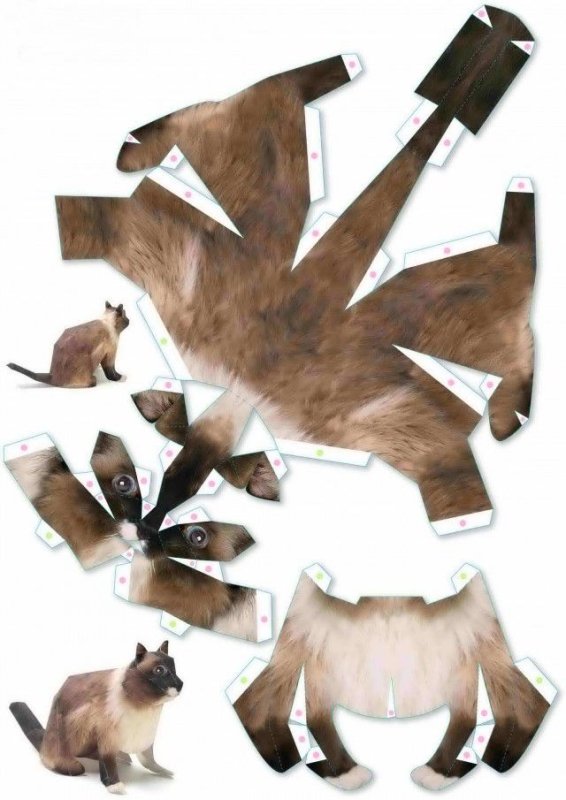 Объемные животные из бумаги