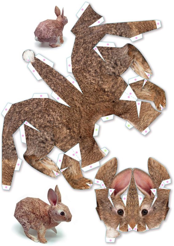 Моделирование животных из бумаги