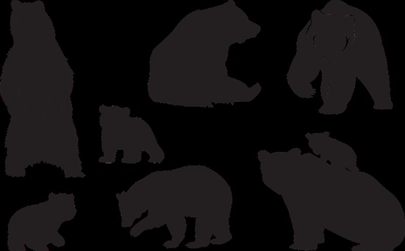 Бурый медведь силуэт