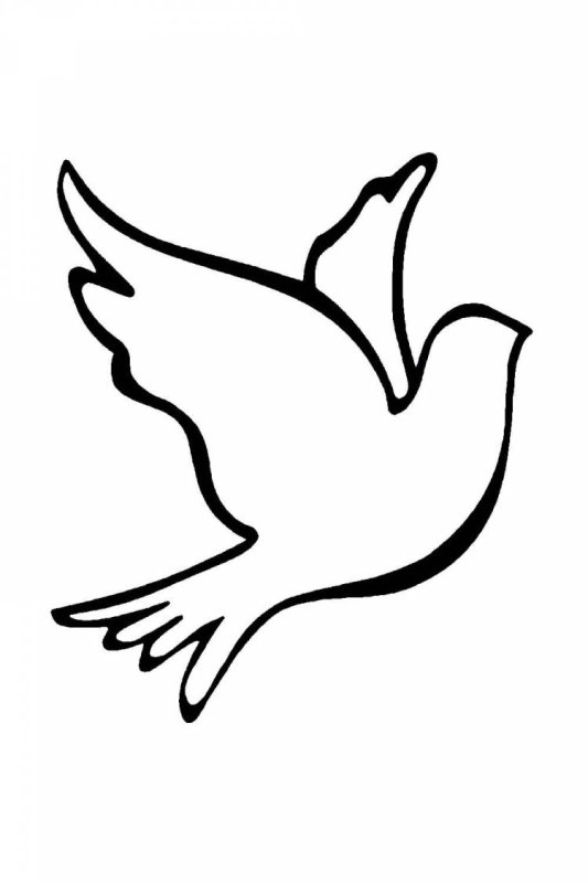 Очертание голубя
