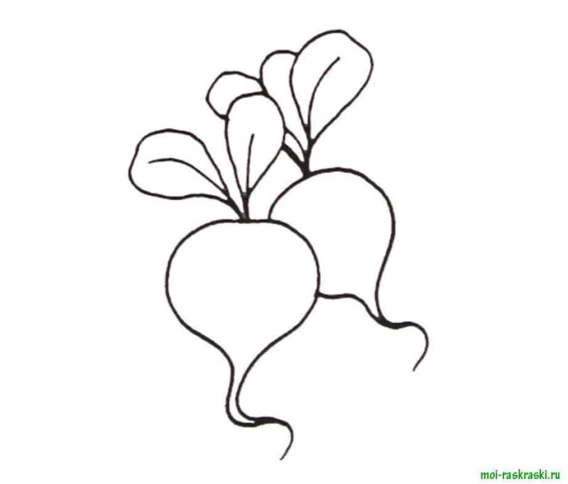 Редиска раскраска для детей