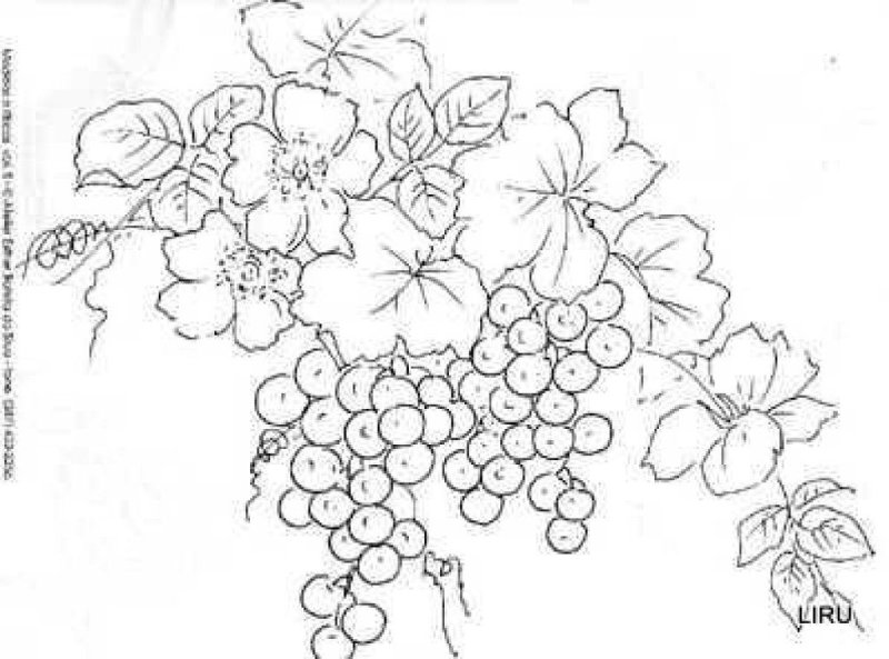 Схемы для вышивки гладью ягоды