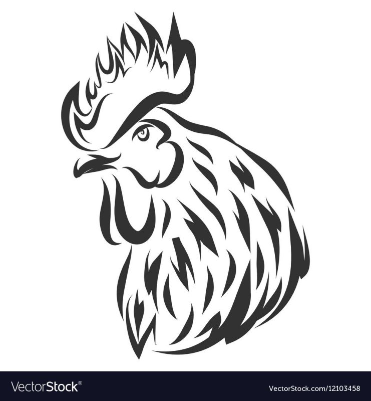 Голова петуха рисунок