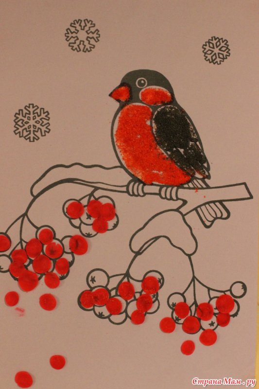 Снегирь раскраска для детей