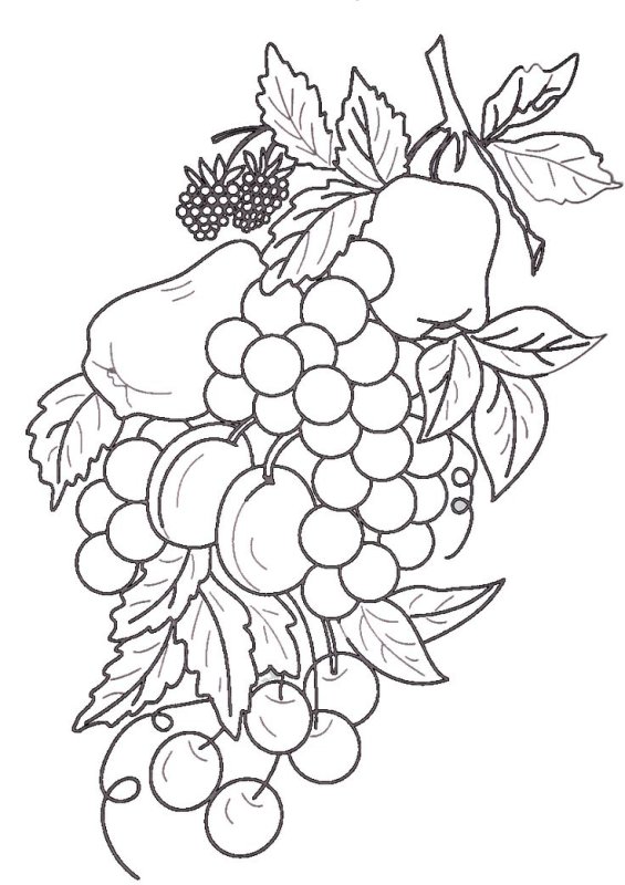 Виноград раскраска