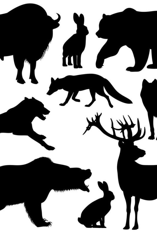 Силуэты животных для вырезания