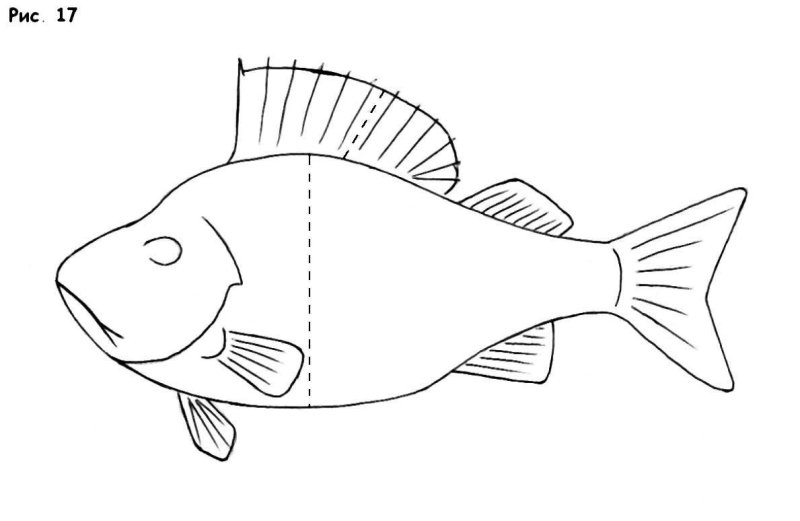 Окунь карандашом