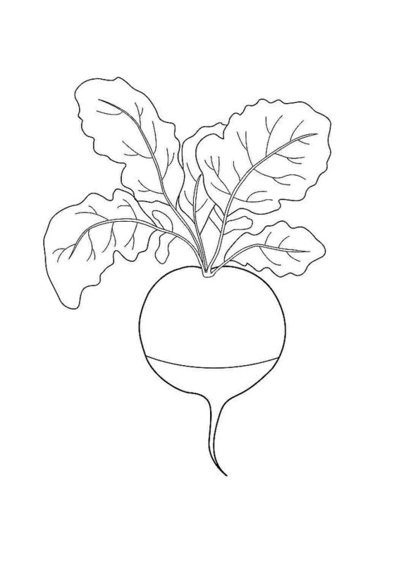 Трафарет "овощи"