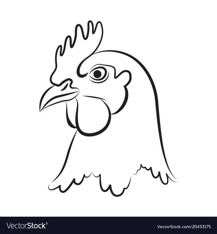 Контур курицы голова