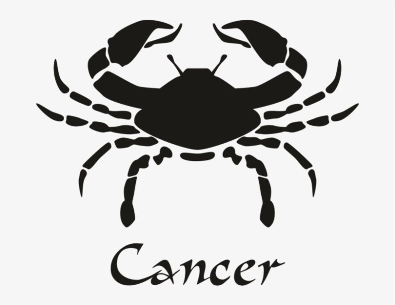 Скорпион трафарет