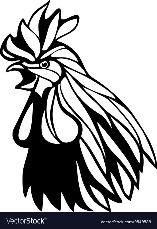 Голова петуха