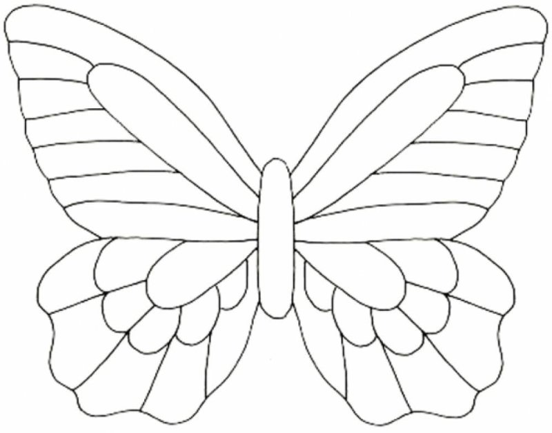 Бабочка трафарет для аппликации