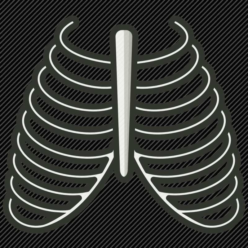 Кости для костюма