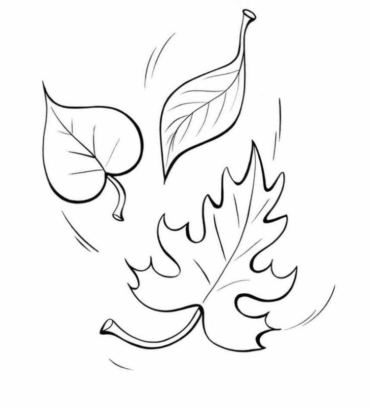Осенние листья раскраска для детей