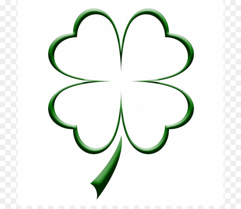 Клевер четырехлистник цветок