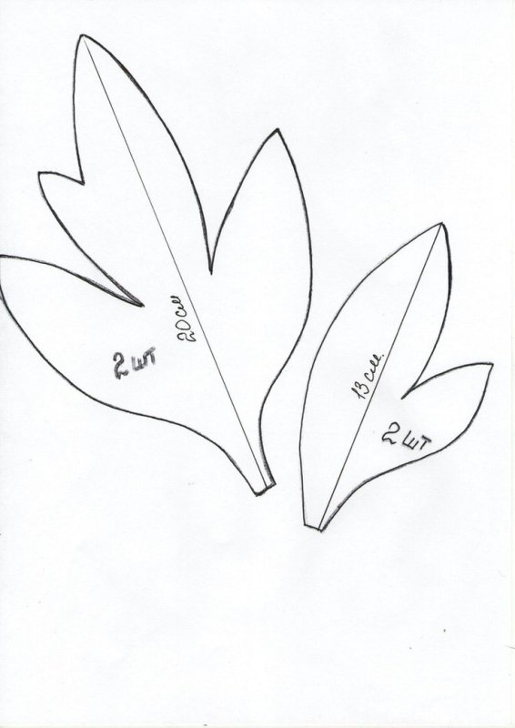 Трафареты листиков для цветов