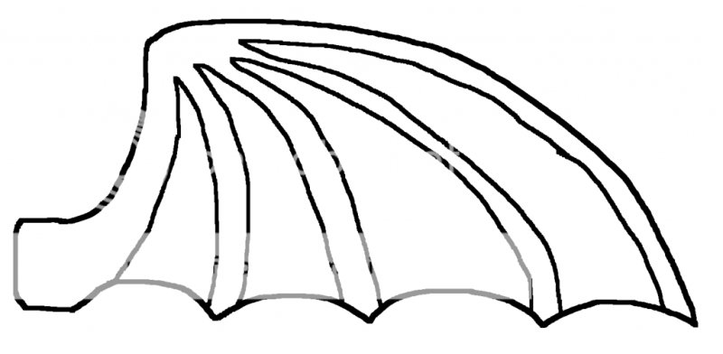 Крылья раскраска
