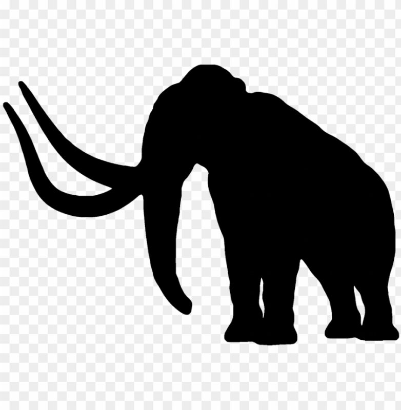 Черный мамонт