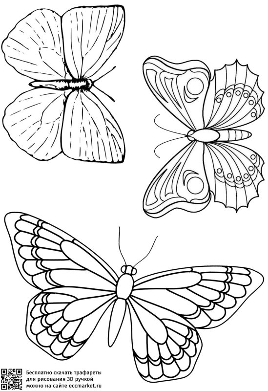 Бабочка шаблон для рисования