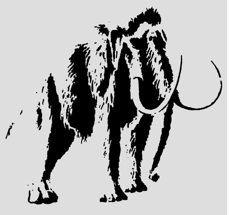 Мамонт Графика