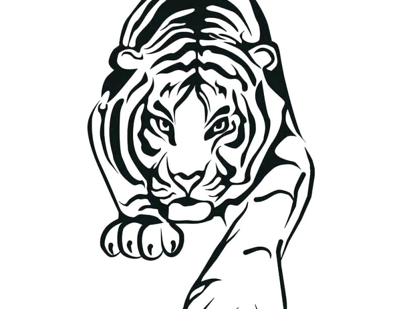 Трафарет тигра для рисования