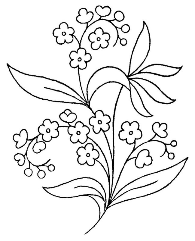 Раскраска цветочек