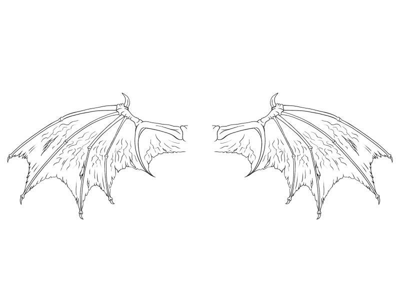 Крылья дракона