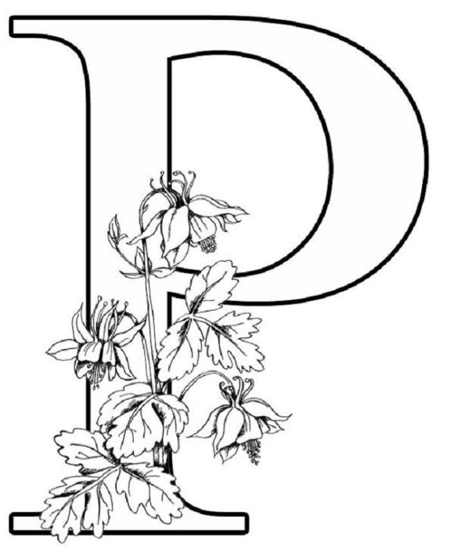 Буквы алфавита с цветочками