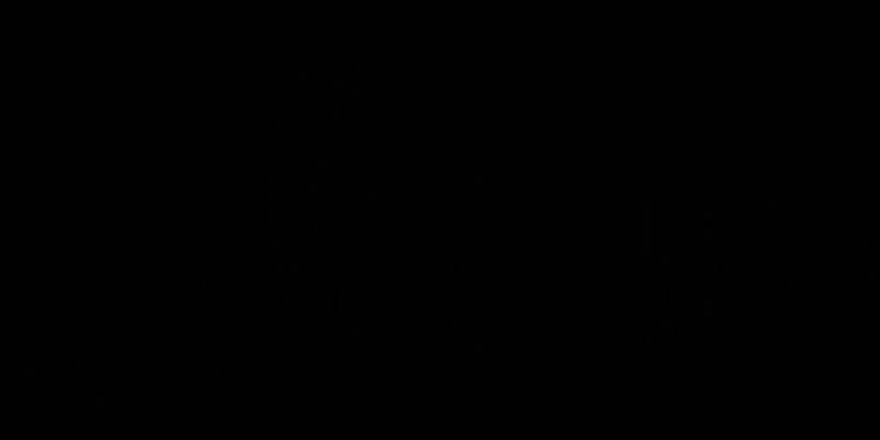 Трафарет лошади